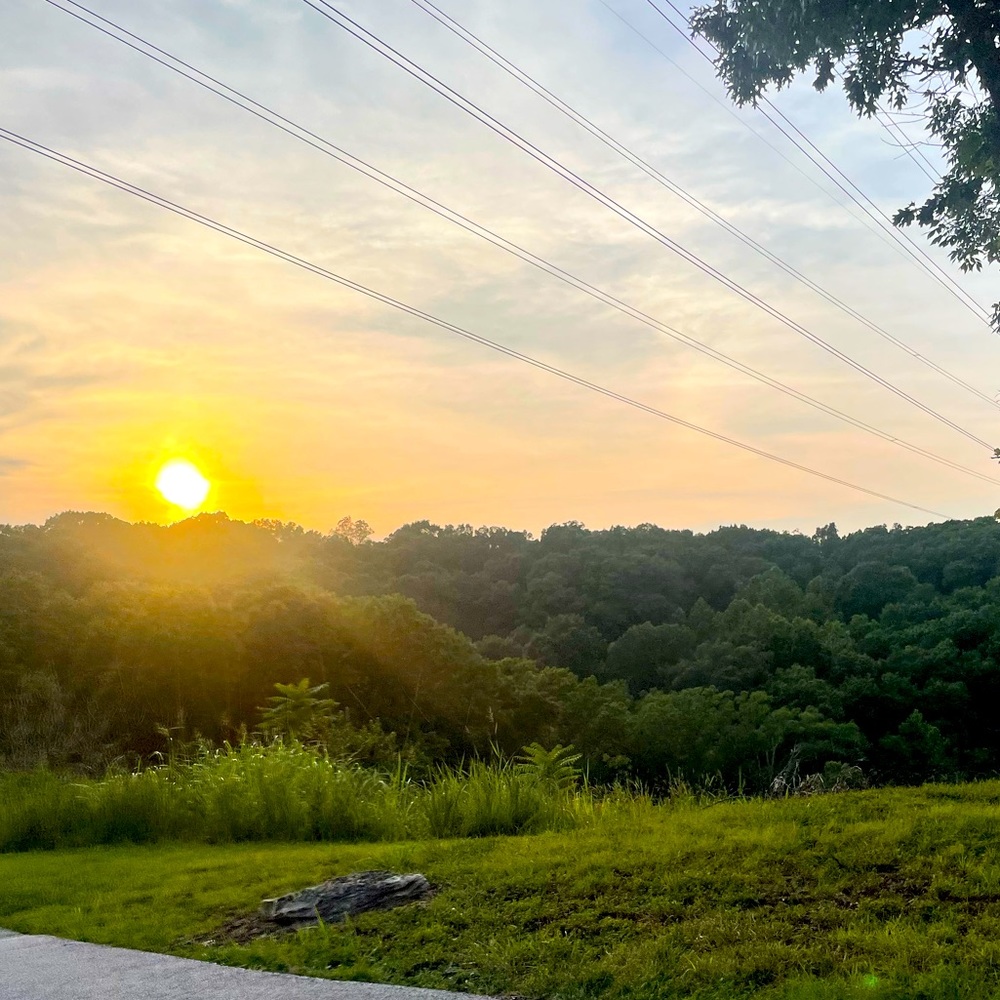 Meet your Posher, Kelley